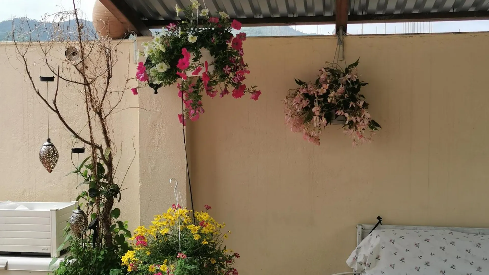 Albisola Bed And Breakfast Albisola Superiore 2*,  Italy